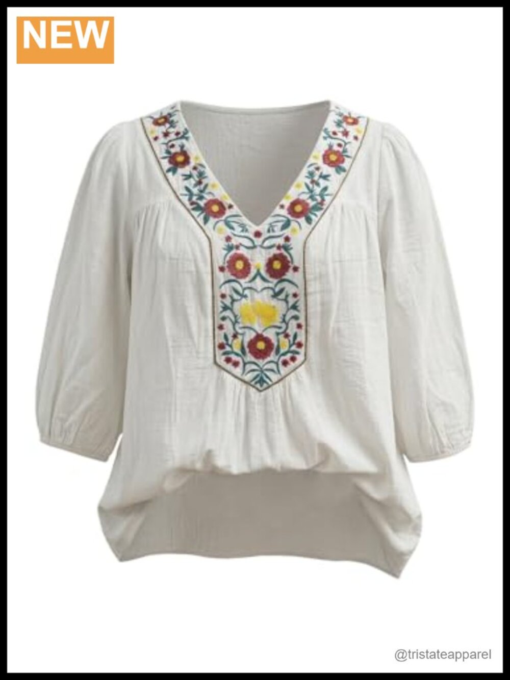 Plus Size V-Neck Floral Embroidered Blouse